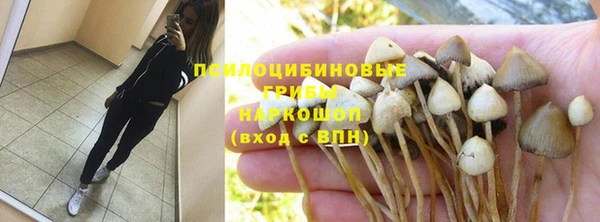 прущие грибы Арсеньев