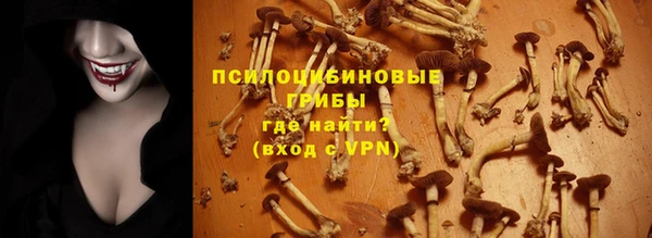прущие грибы Арсеньев