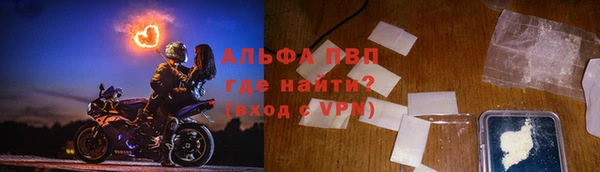 прущие грибы Арсеньев