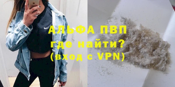 прущие грибы Арсеньев