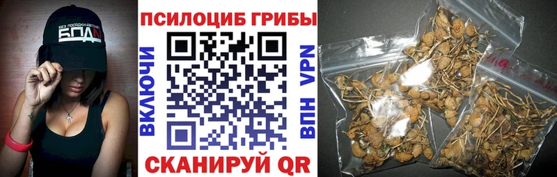 Псилоцибиновые грибы Psilocybine cubensis  как найти закладки  МЕГА как войти  Сергач 